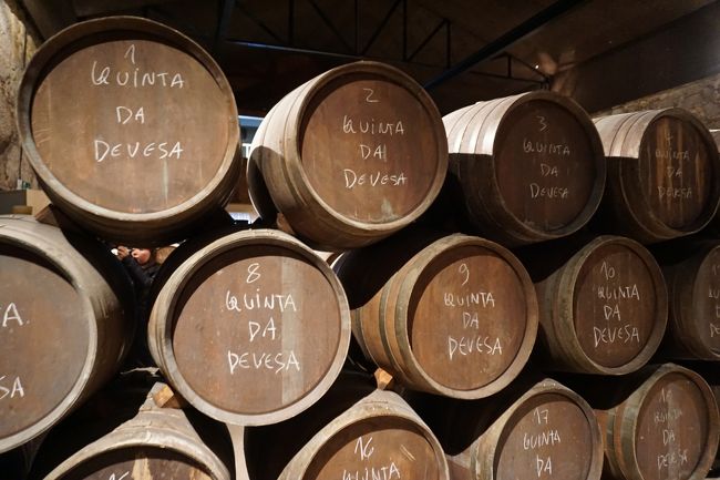 そのあと、良ければ<br />5ユーロだかで中を見学できる。<br />ただし、ワインを買えば<br />見学料は無料になるのだとか。<br />この辺のワイナリーは<br />大体このシステムで試飲をやっているようです。<br />ワインの樽。