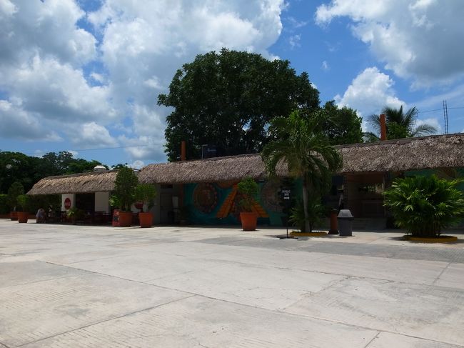 ビュッフェ形式の昼食でしたがタコスはその場で作ってくれます。