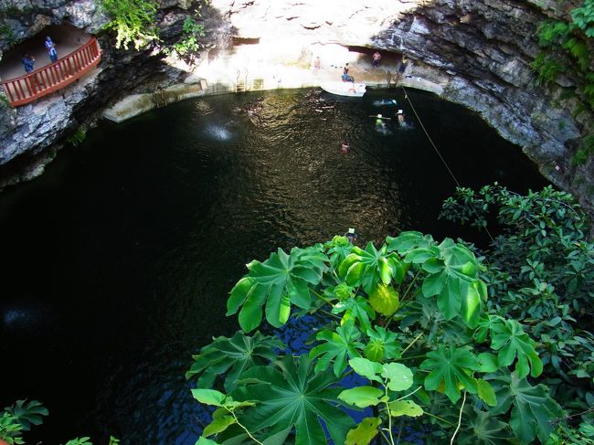 上から見る限り水質が・・・