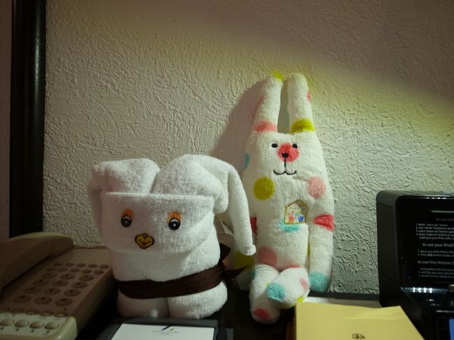 セノーテを後にしバスに乗った途端爆睡。<br />ホテルに帰った後も爆睡し２日目終了。