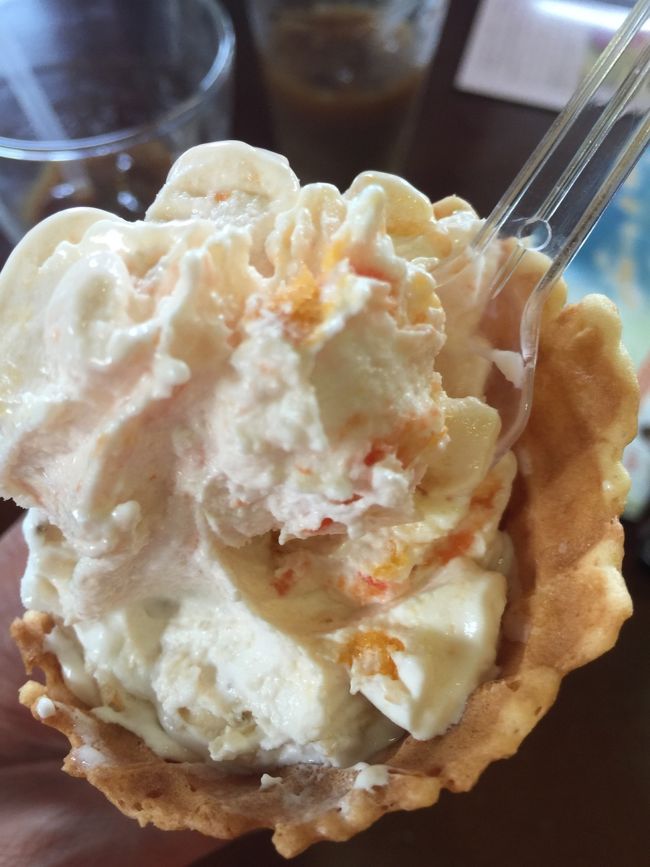 植物園でフルーティなソフトをいただく。