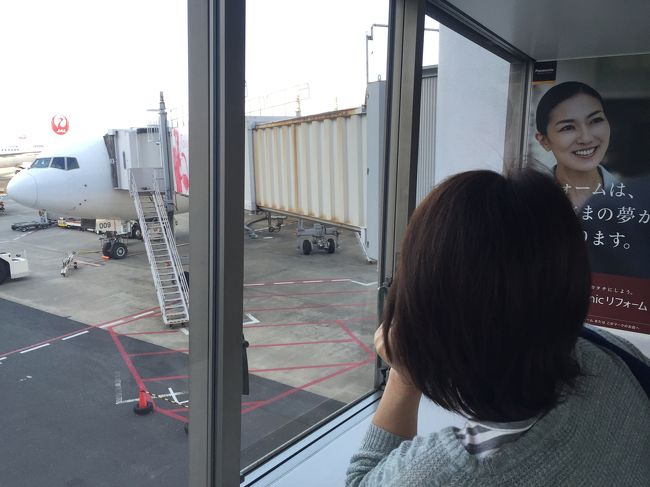 たいがいお決まりで撮りますが、後で見返して一番意味のない撮影かも（笑）