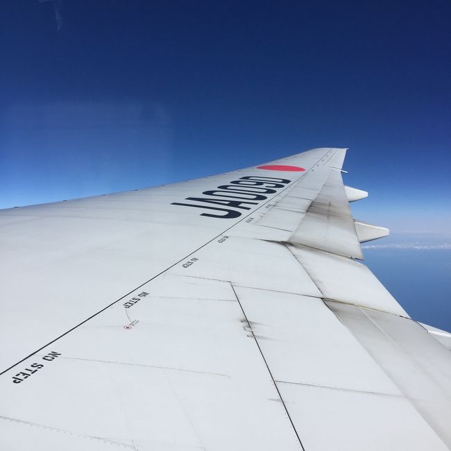 JAL系で<br />ダイビングの水中もそうだけど、空の上もキレイだなー