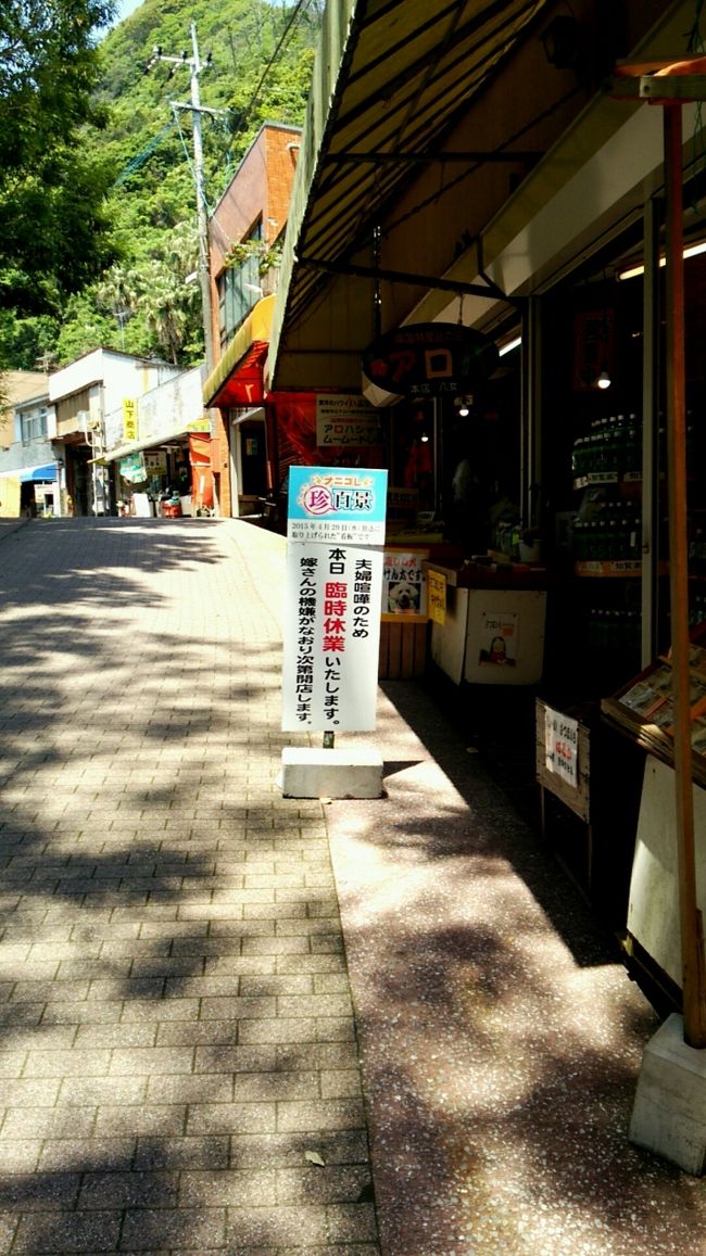 ほー。確かに珍百景かも。