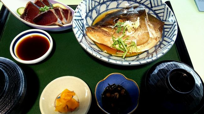 昼は枕崎おさかなセンターに移動して、カツオの定食です。<br />甘くてとろけるかつおでした！東京ではどこに行ってもこんな素晴らしいかつおを食べたことがありません！