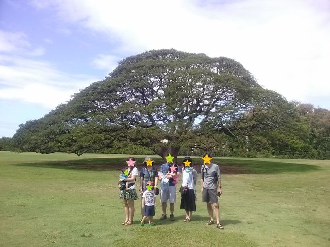 次に行ったのは、モアナルアガーデン。この木なんの木〜です。<br /><br />ここ　すごく良かった！<br />広くて気持ちがよく、子供たちも走りまわり、また行きたい場所です。