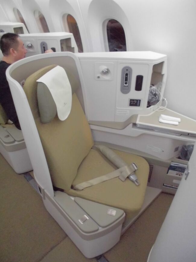 ベトナム航空 B787-9 ビジネスクラス搭乗記・ホーチミン-成田