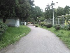 千葉公園に到着し、蓮の池に向かって歩き出します。