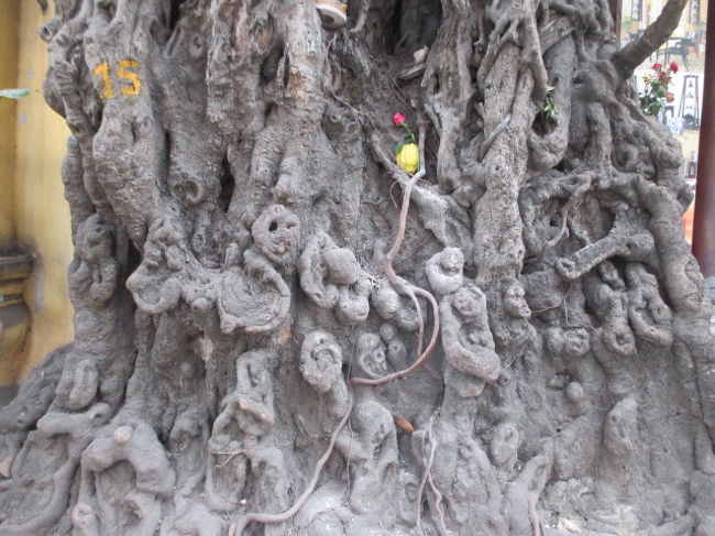 神霊が宿ると言われているのにふさわしい木の根元。