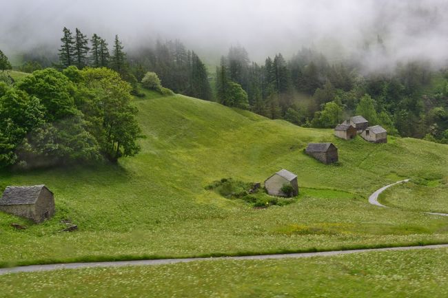 なんとなくスイスの牧場の雰囲気になってきました。