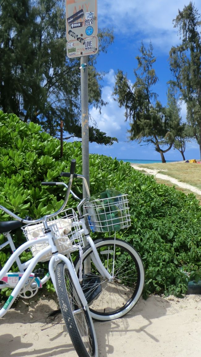 2日目カイルアタウンへ。<br />9時前にホテルを出てアラモアナセンターまでワイキキトロリーで移動。JCBのキャンペーン中でJCBカードの提示で無料で乗車できました。アラモアナからはTHE BUS(No56 or No57)に乗って小一時間でカイルアタウンに到着。前回行ったパールハーバーより近く感じました。<br /><br />最初はカイルアバイシクルで自転車を借りる予定だったのですが、<br />バスの降車場前の自転車店（The Bike shop Hawaii Kailua)<br />に日本人が何人かいるので聞いたところ、カイルアバイシクルはもう自転車がないとのことでこちらで借りることにしました。<br />（注：この自転車屋さんクレジットカードじゃないと借りれなかったです。）<br /><br />自転車は4時間で1台1500円だったと思います。かわいい自転車なのですがブレーキがいつもの自転車と違ってハンドブレーキじゃないんです。反対にこぐとブレーキになるっていう。私も娘も結局最後まであんまり慣れたような慣れないような怪しいブレーキさばきをしていました。