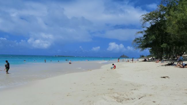 アメリカの交通規則に「なるべく」従ってカイルアビーチを目指しました。<br /><br /><br />カイルアビーチ！！<br />なんていう美しさ。<br />それなのにこれしか人がいないって・・・。<br /><br /><br />ビーチに行く前にホールフーズに寄りました。<br />おいしそうなものがたくさんありました。