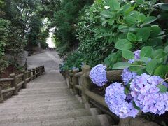 高館義経堂

岩手平泉はまだ紫陽花が残っていました。
拝観料200円を払い、階段をのぼっていきます。