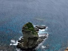 海から突き出るようにそそり立つ「立神岩」を、ほぼ真正面から見下ろすことができます！
これだけ近くで見ることができると、より一層その威容が感じられますね〜。
