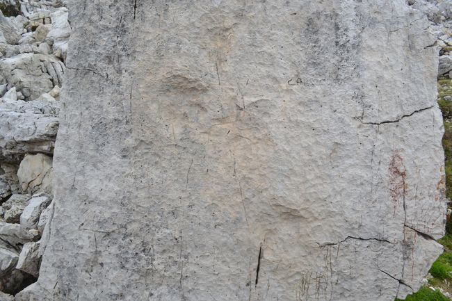 拡大してみます。<br /><br />約１億年前には、恐竜も歩いていたのですね。<br />その後、アフリカ大陸とヨーロッパ大陸が衝突して、アルプス山脈が出来上がったわけですね。