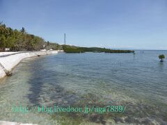 AM10：38　マウント・カーメル教会の直ぐ側の海岸です　写真に入ってるんですが
気づかなかったっす　ここ真っ直ぐ行ったところが　
『Tulapos Marine Sanctuary』になります　緑の塊です
海洋保護区で良いのか　もう少し　近くで　見たかったっす