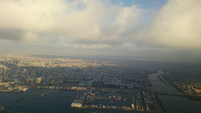 スカイツリーも見えました。