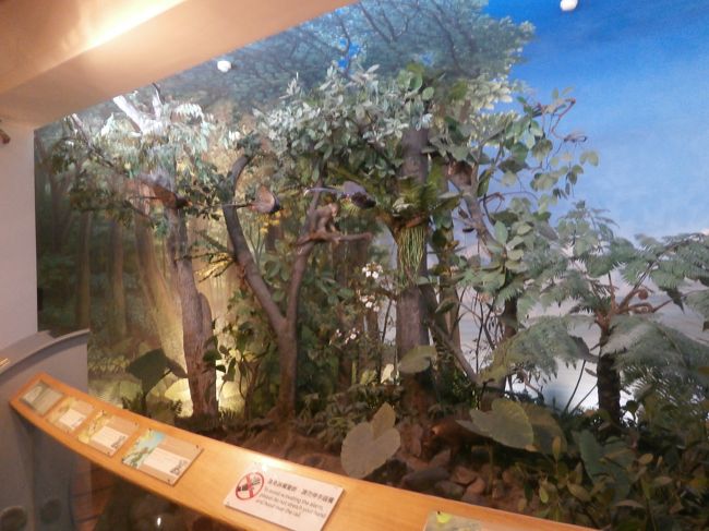 博物館<br /><br />大人３０元子供１５元<br /><br />外は暑いので中は涼しくて最高