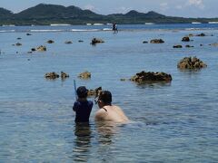 川平湾からほど近い米原ビーチで
石垣島で初のシュノーケリング

遠浅でビーチからすぐのところにも
青い小さなお魚を見ることが出来ました！

有料駐車場は￥500です