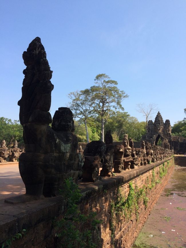 日の出を見た後、ホテルに戻り朝食を済ませて、<br />ホテルでピックアップ。<br /><br />早朝の日の出鑑賞の人たちに加え、今回総勢20名ほどのツアー参加者。<br />若い人たちの参加が多かったのに、少しびっくり。<br /><br />午前アンコール・トムに向かいます。<br /><br />アンコール・トムの入り口　南大門でお出迎え。