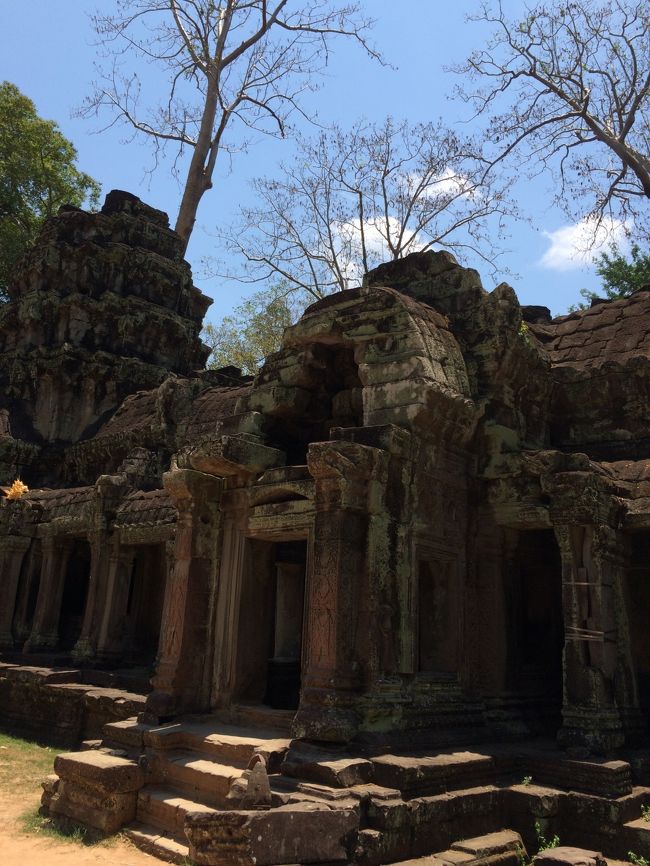 タ・プローム<br /><br />入り口に向かう途中、絵葉書の売り子をする子供たちが中国語で挨拶してくる。<br />結構中国人のツアー客に出くわした。<br /><br />