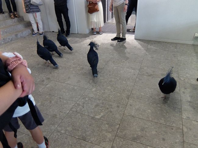 大阪で社員旅行 16 ニフレルに触れる 吹田 万博公園 大阪 の旅行記 ブログ By Akiraさん フォートラベル 大阪で社員旅行 16 ニフレルに触れる 吹田 万博公園 大阪 の旅行記 ブログ By Akiraさん フォートラベル