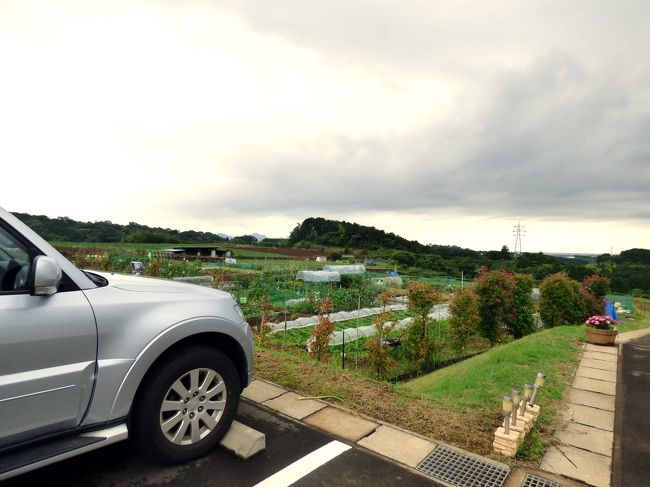 満足の昼食後、三島市佐野体験農園を訪ねます