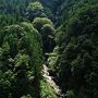 徳島県一の滝と渦巻く激流甌穴群(貞光川水系と剣山山系の景勝・一日目)