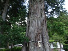 戸隠神社　中社（ちゅうしゃ）　バス停の目の前に立つ杉の巨木

長野駅から中社まではバスで約1時間10分。

中社には、三本の杉の巨木があり、これはその１本。