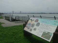 藤前干潟を望みながらのウォーキングもとても楽しい所ですね！

ラムサール登録の記念碑も建っていますので、是非御確認下さい。