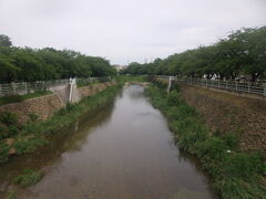 4月に桜を眺めたばかりの香流川。

この時期に来ると別の川かなと思ってしまいます…。
