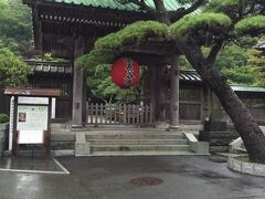 久々の長谷寺、雨の中の鎌倉もなかなかいいですね。