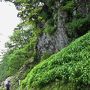 剣山の「天涯の花」と巨大岩塔と周辺の静寂峰(貞光川水系と剣山山系の景勝・二～三日目)