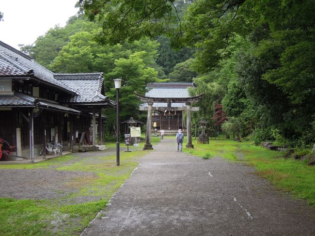 せっかく来たので城に登る