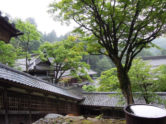 法堂の軒下は落ち着く空間で、ゆったりくつろいでいる人が多かった