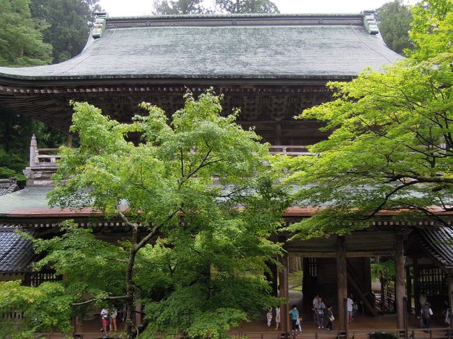 中雀門から見た山門<br />緑が生い茂って全体をうまく捉えられなかった