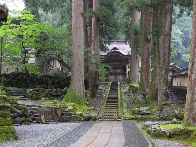 絵になる風景だった