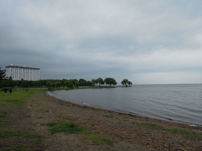 すぐそこに広がる琵琶湖