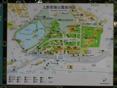 上野恩賜公園・不忍池の蓮
不忍池の蓮は、江戸時代には浮世絵にも登場するほどのハスの名所でした。
ところが、戦争中食糧難のため田んぼに変えました。戦後は復旧作業により現在のような不忍池に生まれ変わったのだそうです。
