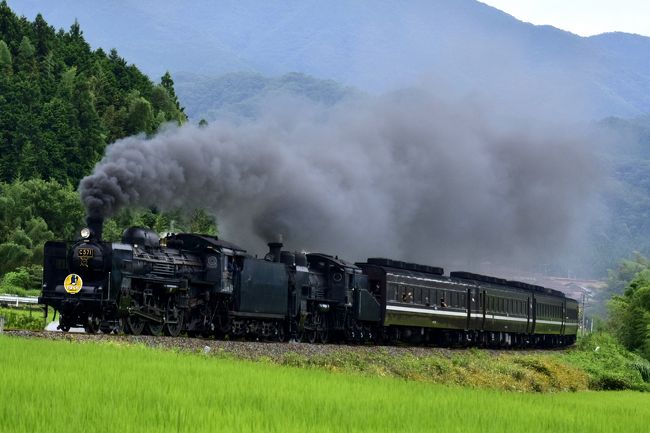 SLやまぐち号重連（C57-1号機＋C56-160号機）を追いかけて』山口