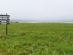 やっぱり霧の風景でした。