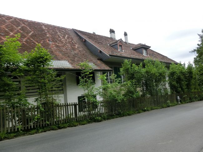 かなり大きな家です。