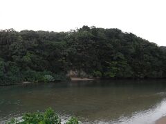 宿からとうふの比嘉へ向かう途中にある、吹通川のマングローブ林です。