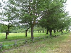 東口から悠久山公園行きのバスに乗って15分〜20分ほどで終点の公園です。
この日はとても暑い日。新潟の気温は34度、長岡市はわかりませんが、たぶん同じくらいだったことでしょう。

広い公園には人っ子ひとりいません！
選択を間違えて来てしまったかなあ（汗）。そして郷土資料館（お城のような建物）はどこにも見えません。

道を聞こうにも人がいません。