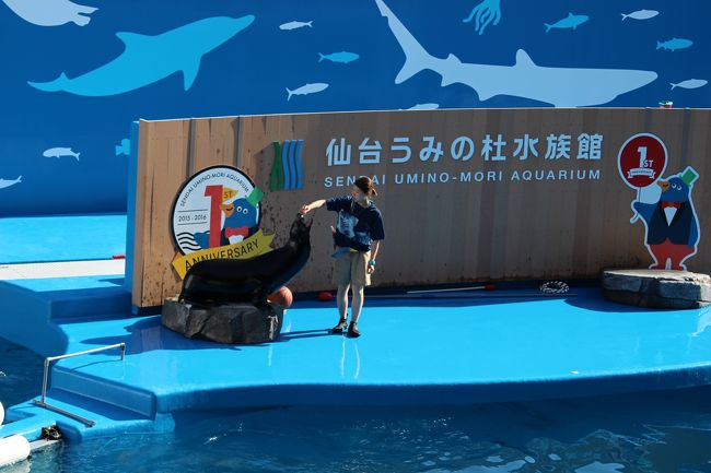 ショーの始まり