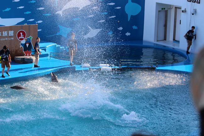 水しぶきがスゴイ