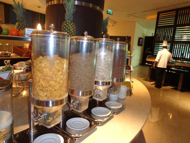 ホテルの部屋ではもう１つハプニングが。。<br />フロントで用意したお部屋は「room for disabled person」（身体障害者用のお部屋）だと言われていました。お部屋も広めで、あらゆる箇所に紐がついていて、いつでも助けを呼べるようになっていました。<br />眠りについた途端に｢ビーッ、ビーッ」と緊急音が！<br />「何事！？」と思い飛び起きると、旦那様がトイレで間違って紐をひいてしまったよう。<br />急いでフロントに電話。すると「慌てないで。紐を再度引っ張れば音は消えるから」<br />旦那様、紐を再度ひっぱり、無事音は消えました。<br />「どうして、紐なんか引っ張るの！？」と初日から私(妻）に怒られるはめに。<br />旦那「だ、だって！中国では紐をひっぱって水を流す所が結構あったんだよ」<br />もしもし、ここは中国ではありません。<br />息子は熟睡してハニワ状態