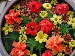 次は、石垣やいま村に来ました〜。入口で生けてありました。南国ですなぁ〜。