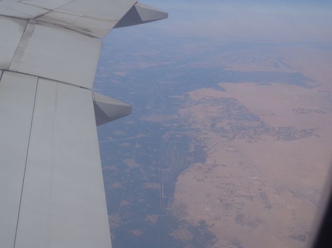 アレキサンドリア辺りからいきなり緑が出現