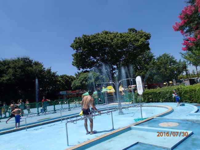 レインボープールと立川花火16 立川 東京 の旅行記 ブログ By 雪豹の旅 さん フォートラベル